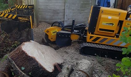 stump-grinding